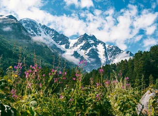 Beautiful pink flowers of chamaenerion angustifolium in front of blurred snowy mountain peaks, blue sky and clouds. Amazing landscape of Caucasus mountains in sunny summer day. © Evgenii Bakhchev