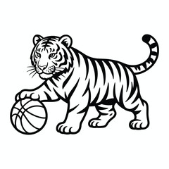 Fototapeta premium White tiger playing basketball black and white animal