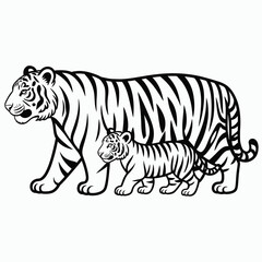 Fototapeta premium Black and white tiger and tiger cub walking side by side