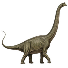 Fototapeta premium Ancient sauropod dinosaur walking in prehistoric landscape illustration isolated on transparent background