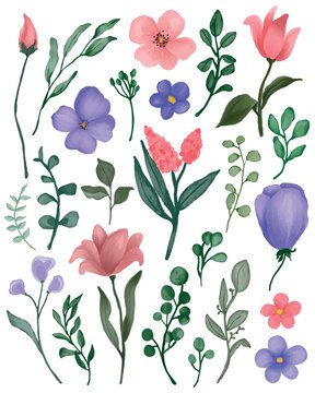 Bundle of hand drawn, watercolored flowers with leaves and branches. Set of various, vector botany illustration clip arts.