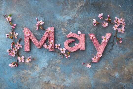 Floral may letters on textured blue background