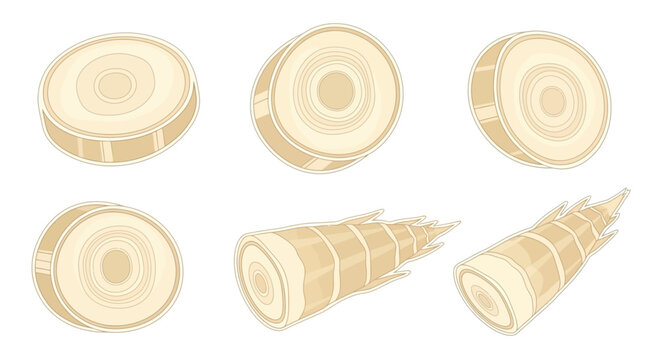 Wooden Dowel Rods Cylindrical Objects.