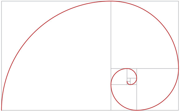 Fibonacci spiral grid. vector illustration