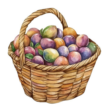 Cocoplum Basket, vibrant watercolor vector illustration with flowing and detailed brush strokes, isolated on a white background.