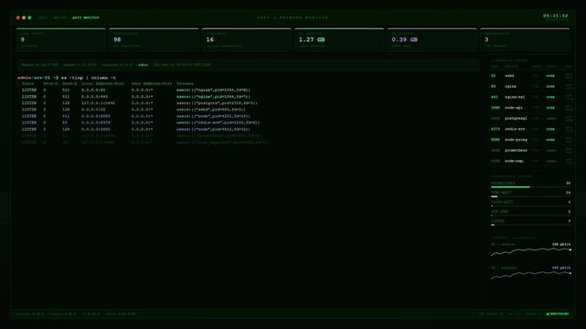 Linux Port and Network Monitor Interface with Data Traffic and Server Connection Status on Green Terminal Screen.