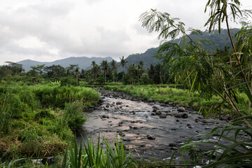 Shallow rocky river flowing through green vegetation with distant hills © Samuel
