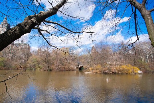 Scenic view of Central Park in New York City in the spring with lake in view