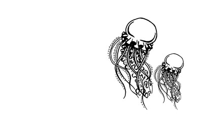 silhouette of a jellyfish © zorica