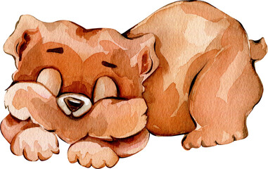 Cute Sleeping Bear Watercolor Illustration © Ma