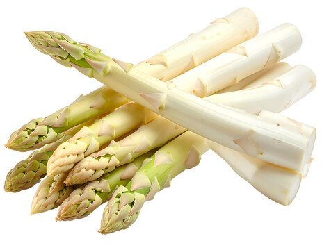 A bunch of fresh white and green asparagus spears with closed tips