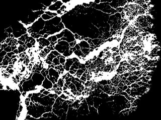 Fototapeta premium Abstract white cracked texture and marble veins pattern on black background