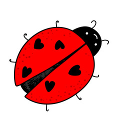 Cartoon kawaii ladybug baby character. Ladybird icon with a cute hearts on wings. Isolated vector illustration on white © Toltemara