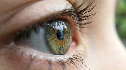 Extreme close-up of a human eye showing detailed green iris, eyelashes, and reflections on the cornea with soft skin texture around the eye. © Video80X
