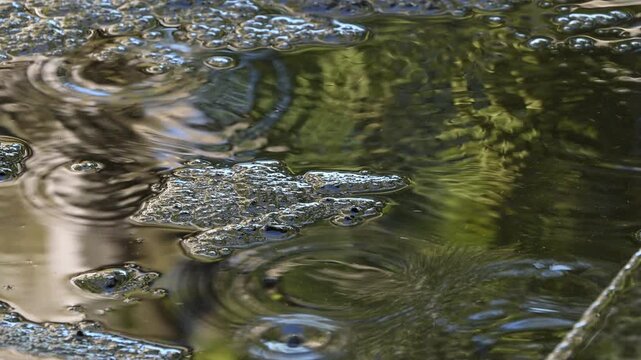 屋根から滴る雨水