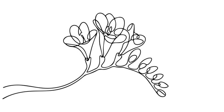 Freesia one line sketch. Hand drawn doodle vector illustration isolated on white background. Plant, flower drawing, Single continuous line drawing beauty fresh freesia for home wall decor art poster.