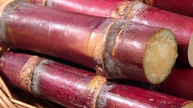 video of close-up of fresh sugarcane.