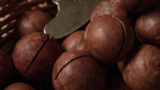 Macadamia nuts	