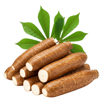 Pile of cassava roots with leaves isolated on transparent background