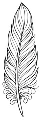 Fototapeta premium Delicate Feather Illustration in Black and White with Intricate Details