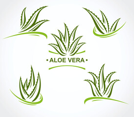Naklejka premium Aloe Vera labels and elements set. Collection icon Aloe Vera. Vector