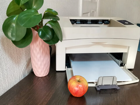 White printer with paper on dark wooden desk. Green plant in pink vase and fresh apple beside. Home office setup for remote work, business documentation, millennial workspace