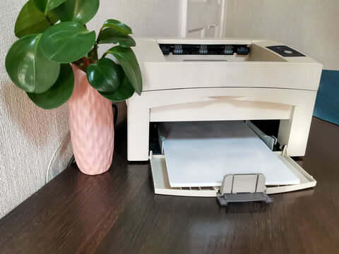 White printer with paper on dark wooden desk. Green plant in pink vase beside. Home office setup for remote work, business documentation, freelance workspace, professional work environment
