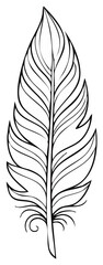 Obraz premium Simple hand drawn black and white feather illustration with flowing lines