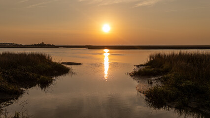 Obraz premium Sun sets over water with reflections of light and silhouettes of grass in a wetland area during evening hours