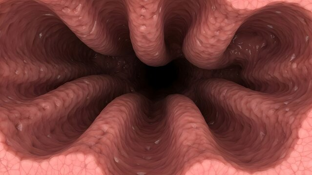 High detailed anatomical 3D visualization of inner stomach lumen showing deep rugae folds forming a tunnel‑like cavity, illustrating gastric mucosal surface for endoscopy simulation, digestion concept