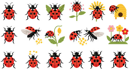 Ladybug Collection with Nature Elements Featuring Flowers Leaves Honeycomb and Beehive Cute Cartoon Insect Set for Garden Spring Design Vector Illustration Pack © Shefali