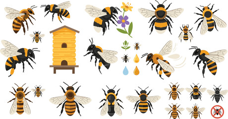 Realistic Bee Collection with Honeycomb Hive and Pollination Elements Featuring Bumblebee and Honeybee Variations Detailed Nature Wildlife Cartoon Vector Illustration Set for Ecology Design © Shefali