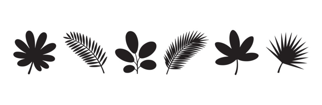Set of black tropical palm leaves vector silhouette isolated on white background collection