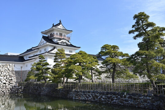 堀に映える松に囲まれた富山城