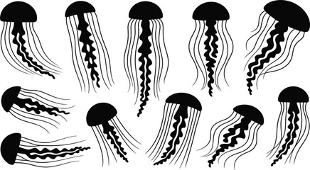 Jellyfish vector silhouette set for ocean life, marine biology, and aquatic summer beach designs © SANDIP