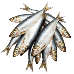 Obraz premium Pile of fresh sardines isolated on transparent background