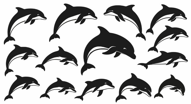 Set of vector dolphin illustrations in black silhouette and white background