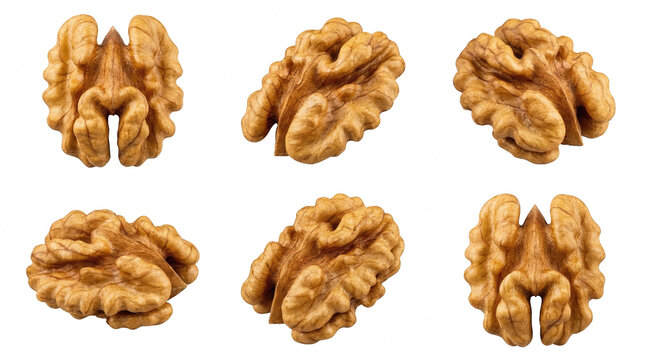 Six Shelled Walnut Kernels Arranged In Two Rows