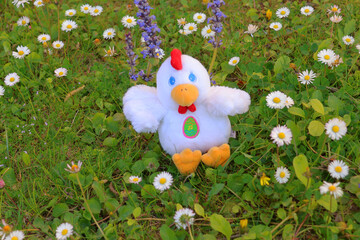 peluche poussin au milieu des pâquerettes © helenedevun