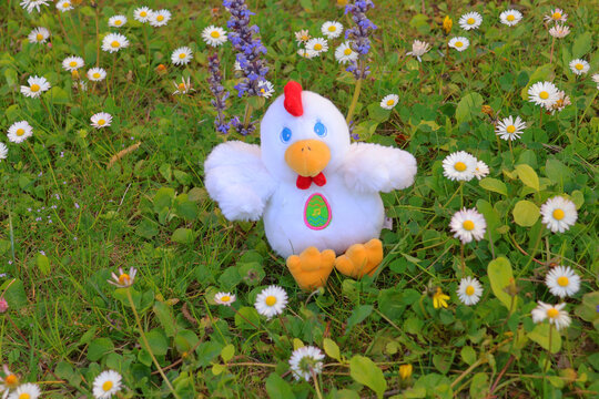 peluche poussin au milieu des p&acirc;querettes