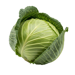Obraz premium Green cabbage isolated on transparent background a crisp and fresh vegetable