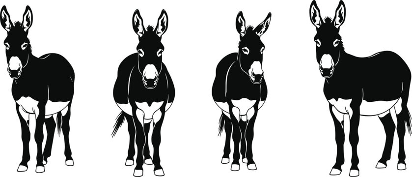Donkey silhouette vector set collection of standing farm animals isolated on white background flat black and white illustration icon for nature logo design.