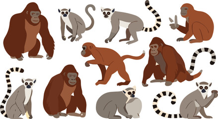 Monkey and Primate Animals Collection Featuring Lemurs, Orangutans, and Apes in Various Poses in Flat Cartoon Style Vector Illustration for Wildlife and Nature Design © Sumon Creative