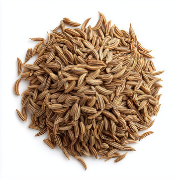 dried cumin seeds on white background
