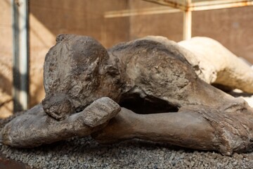 Obraz premium Pompeii Vesuvius victim representing ancient history and destruction