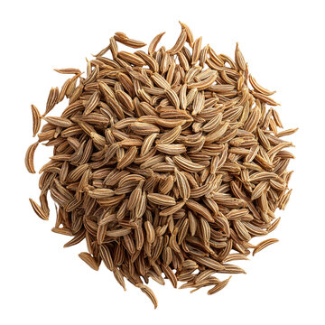 dried cumin seeds on transparent png background