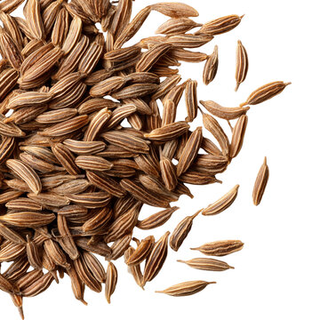 dried cumin seeds on transparent png background
