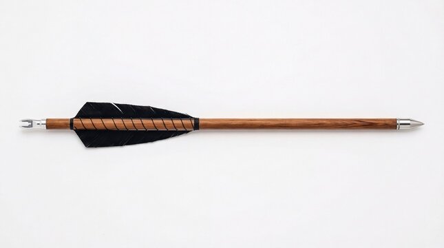 A traditional wooden arrow featuring a sharp metal point and sleek black feathers for archery use