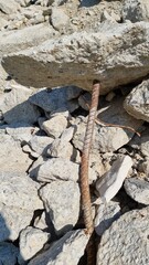 recycled concrete following the dismantling of a wind turbine foundation