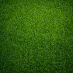 Fototapeta premium Top View Fresh Green Grass Texture Collection Natural Lawn Background Set